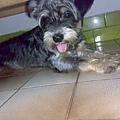 新資料夾-20070722417.jpg