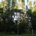 961216-P1010388.JPG