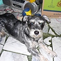 970212-P1010737.JPG