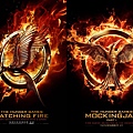 the-hunger-games-posters.jpg