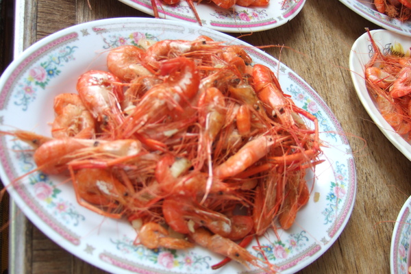 DSCF8580.JPG