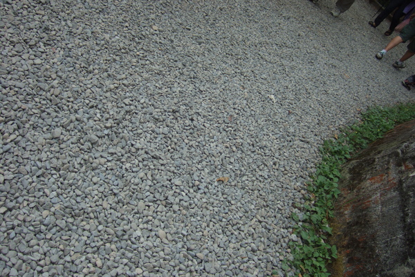 DSCF8586.JPG