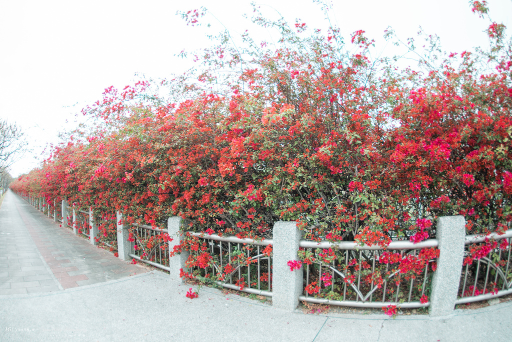 img-06295-20210306-1517-social.jpg img-06295-20210306-1517-social.jpg