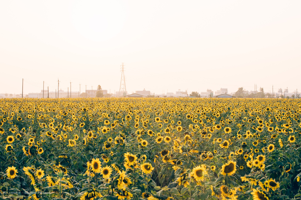 img-07302-20210315-1734-social.jpg img-07302-20210315-1734-social.jpg