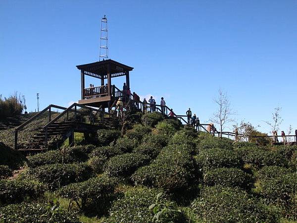 IMG_9816 IMG_9816