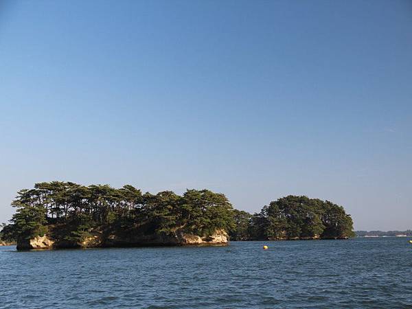 IMG_1431.JPG IMG_1431.JPG