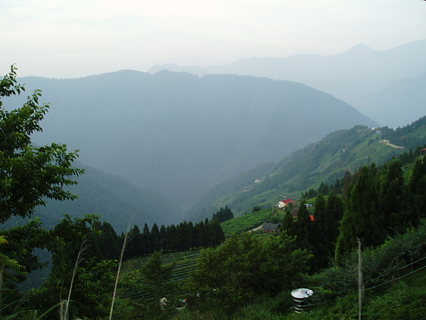 94年7月3日拉拉山之旅 096.jpg