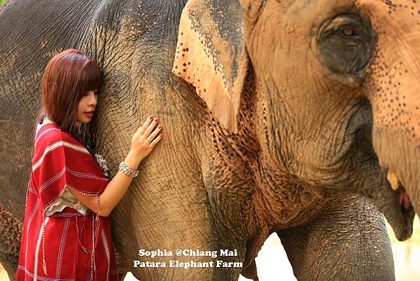 MTXX_20140828_141129