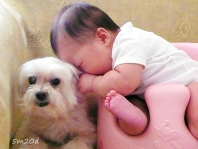 image image