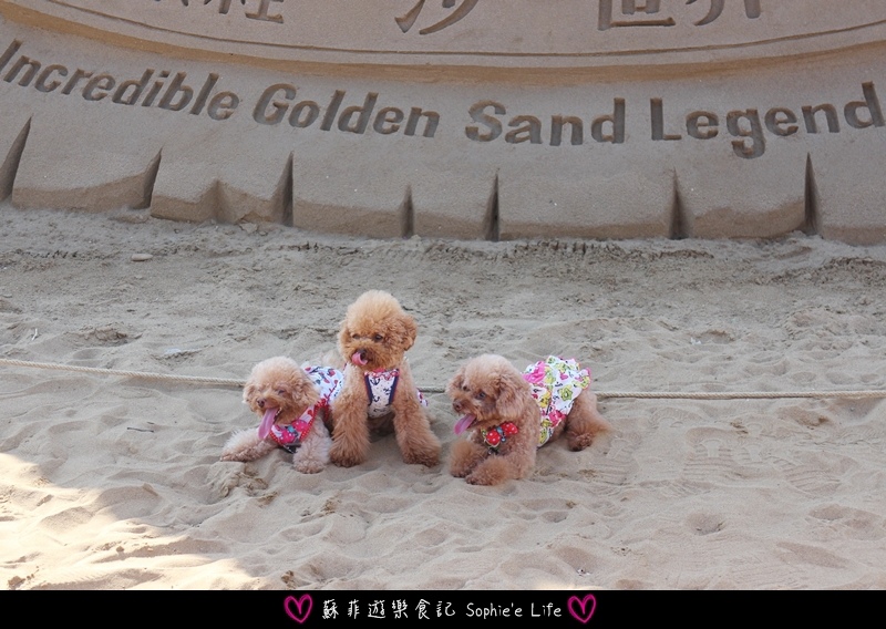 IMG_8924.JPG IMG_8924.JPG