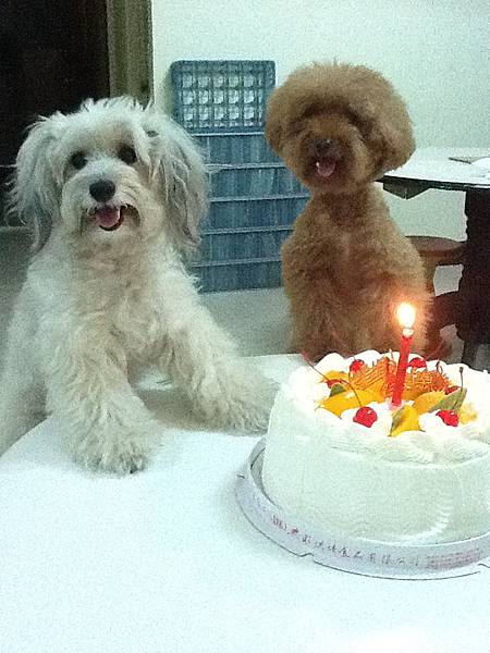 Dolly: Happy birthday to you ：)