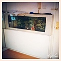 fishtank