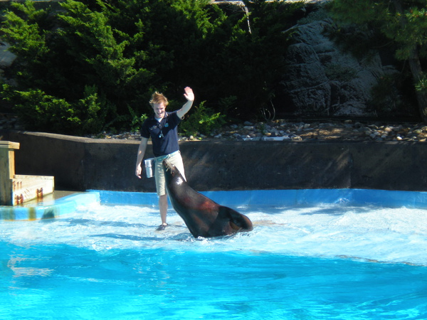 NY Aquarium -帥氣的訓練師.JPG