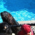 NY Aquarium -才藝表演-我也會唱歌.JPG