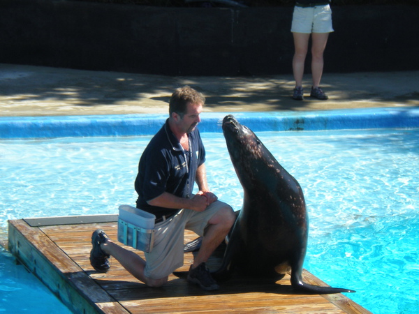 NY Aquarium -要玩親親嗎.JPG