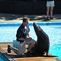 NY Aquarium -要玩親親嗎.JPG