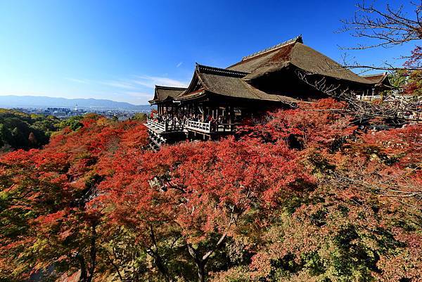 20151202B 清水寺193 .JPG