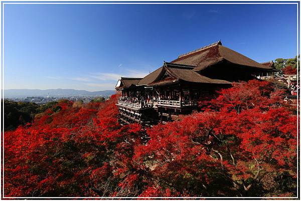 20151202B 清水寺188 