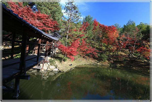 20151202D 高台寺081 