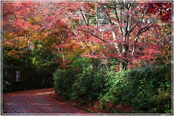 20151203B 常寂光寺 014.JPG