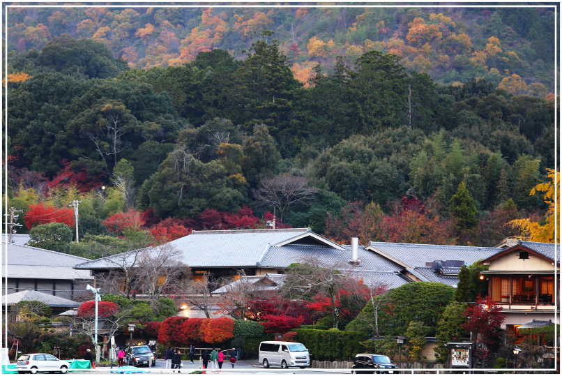 20151203F渡月橋 027.JPG