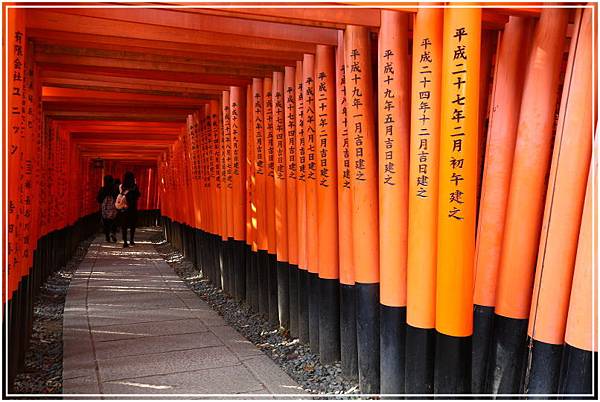 20151205CA伏見稻荷神社121