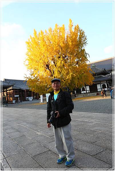 20151205DA西本願寺010