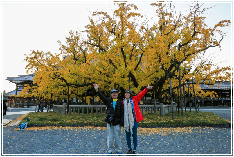 20151205DA西本願寺084-1