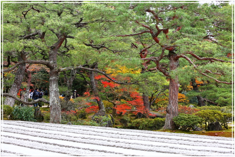 20151206BA銀閣寺048