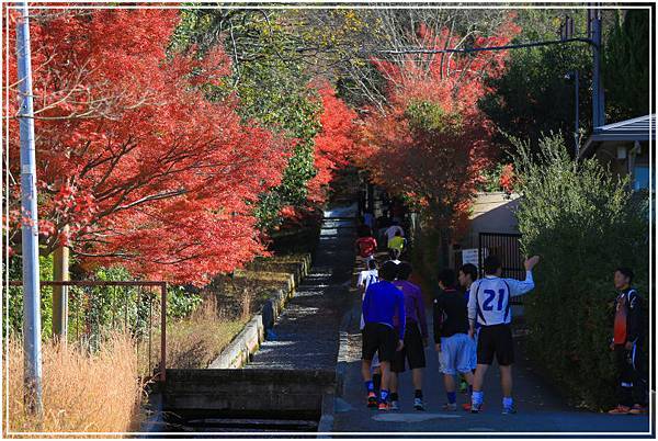 20151207A南禪寺 361-1.jpg