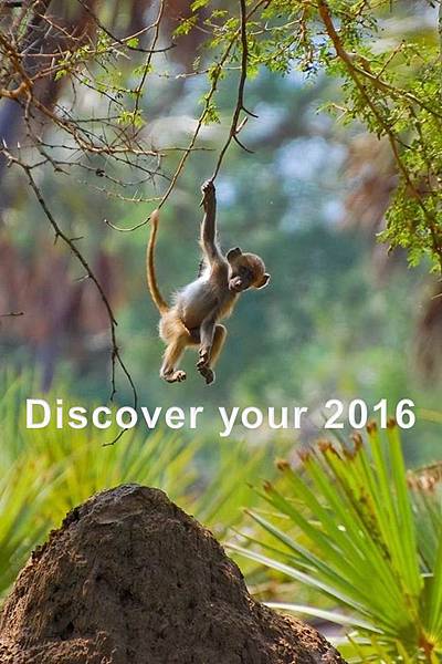 Discover your 2016.jpg