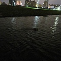 小飛夜泳幸福水樣公園 030.JPG