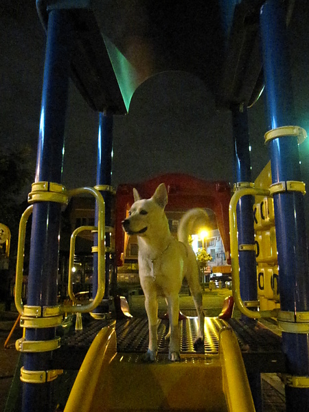 seven standing on the top of the slide074.JPG