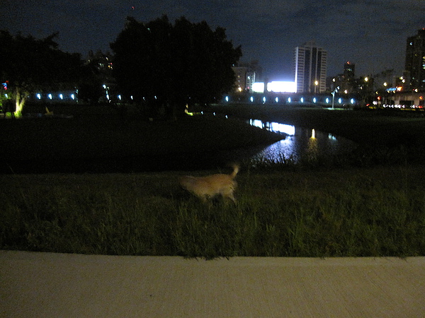 小飛夜泳幸福水樣公園 017.JPG