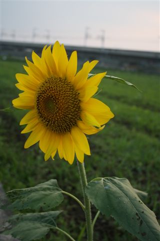 2009060701 2009060701