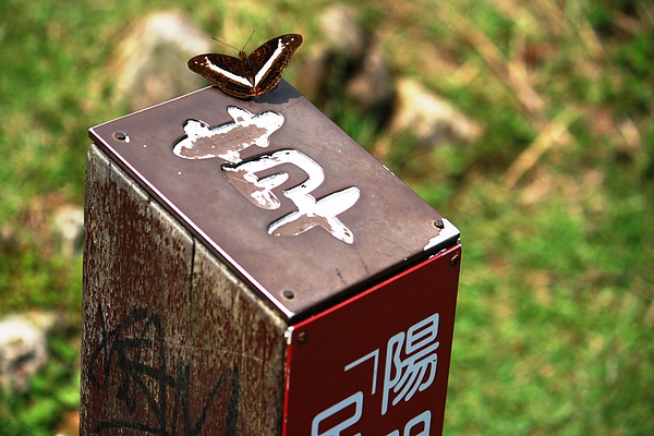 20100911擎天崗04 20100911擎天崗04