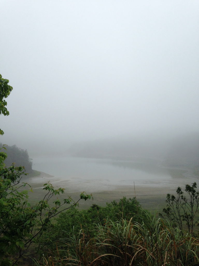 太平山&翠峰湖環山步道09.JPG