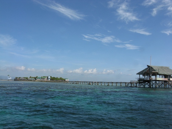 今日潛點 Stingray City 