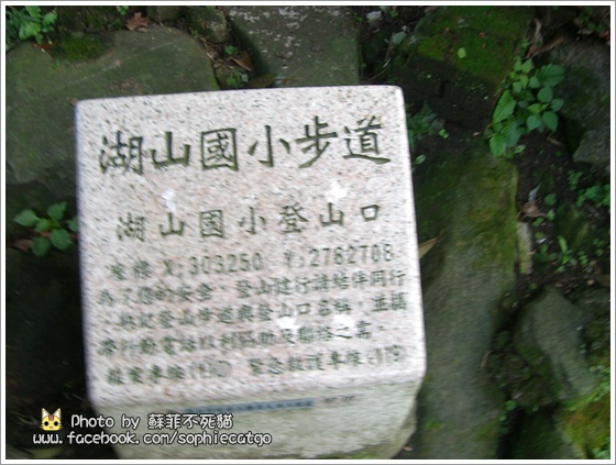 北投橫CIMG1316-10.JPG