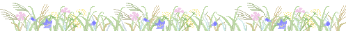 6HWt8u.gif