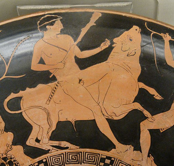 忒修斯獵取馬拉松野牛Theseus fighting the Bull of Marathon_希臘瓶畫.jpg