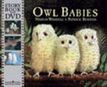 OWL BABIES