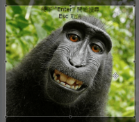 圖片裁切搜尋.png 圖片裁切搜尋.png