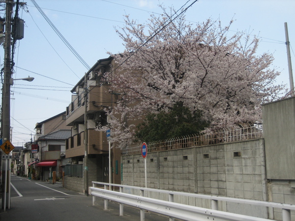 家門對面