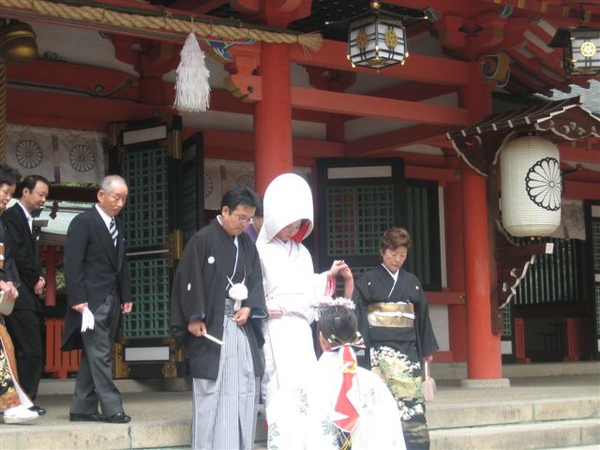 生田神社真的是結婚名所