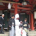 生田神社真的是結婚名所