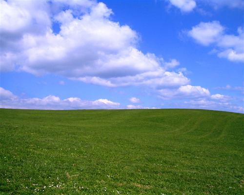Allgaeu-Grassland-1280-x-1024-_2800_5-to-4_2900_.jpg Allgaeu-Grassland-1280-x-1024-_2800_5-to-4_2900_.jpg