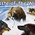 Taste of the Wild 海味.jpg