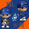 TML-金剛