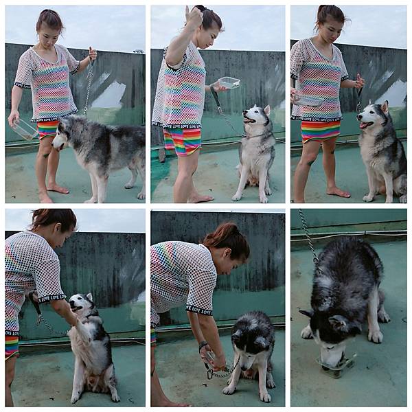 犬糧_181017_0001.jpg 試用